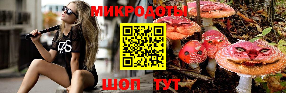 Псилоцибиновые грибы мухоморы Кострома