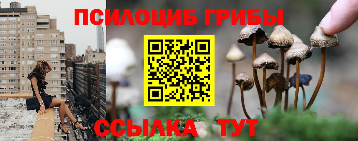 Галлюциногенные грибы ЛСД  Вход с VPN  Кострома 